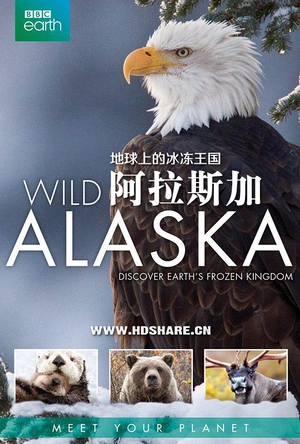 阿拉斯加：地球上的冰冻王国 Alaska: Earth's Frozen Kingdom