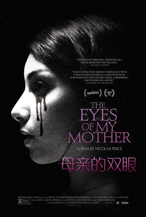 母亲的双眼