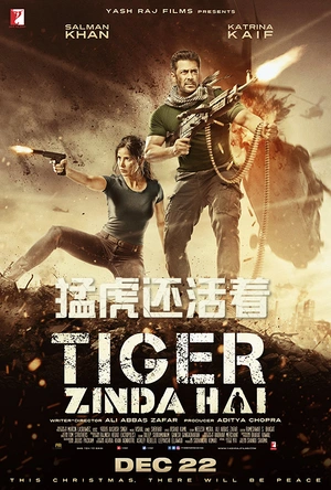 猛虎还活着 Tiger Zinda Hai