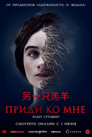 另一只羔羊 The Other Lamb