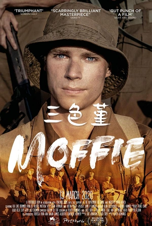 三色堇 Moffie