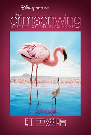 红色翅膀：火烈鸟故事