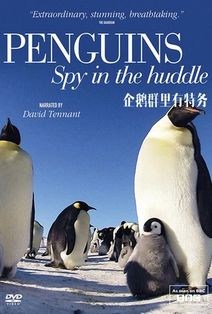 企鹅群里有特务 Penguins: Spy in the Huddle