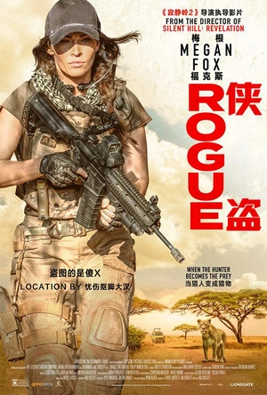 侠盗 Rogue