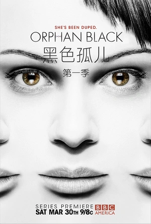 黑色孤儿 第一季 Orphan Black Season 1
