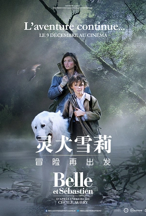 灵犬雪莉：冒险再出发