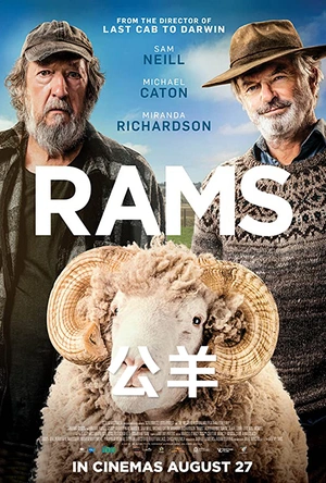 公羊 Rams
