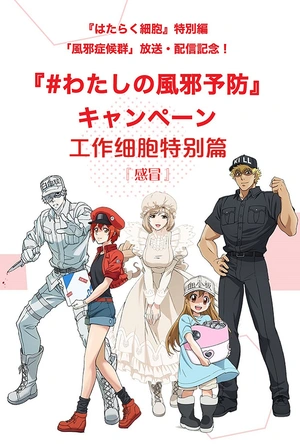 工作细胞特别篇：感冒 はたらく細胞 特別編 風邪症候群