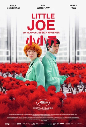 小小乔 Little Joe