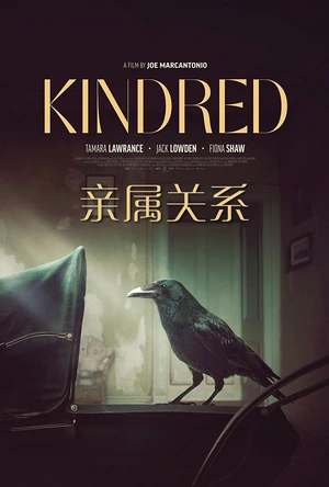 亲属关系 Kindred