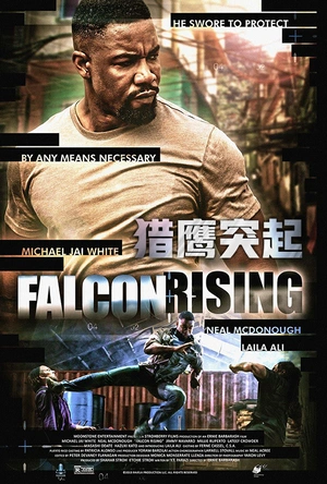 猎鹰突起 Falcon Rising