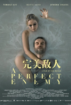 完美敌人 A Perfect Enemy