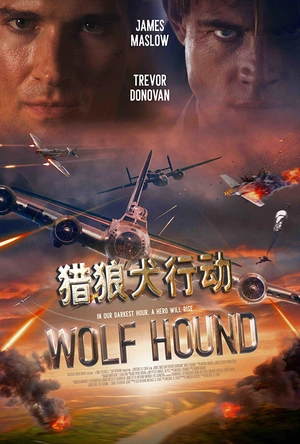 猎狼犬行动 Wolf Hound