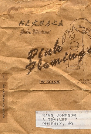 粉红色的火烈鸟 Pink Flamingos