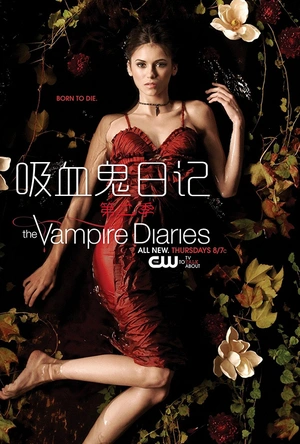 吸血鬼日记  第二季 The Vampire Diaries Season 2