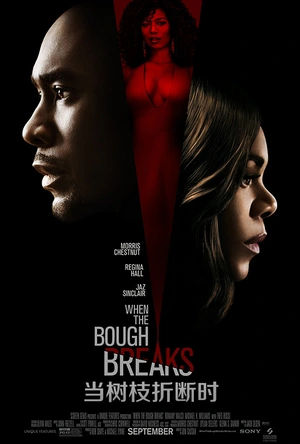 当树枝折断时 When the Bough Breaks