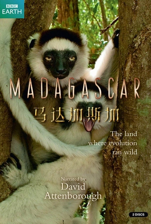 马达加斯加 Madagascar