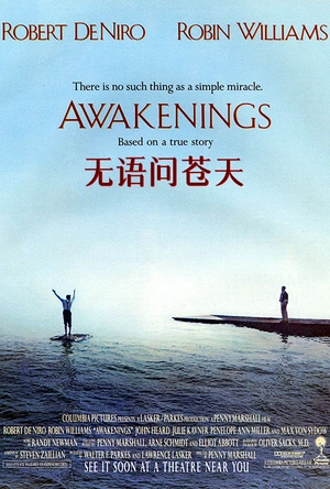 无语问苍天 Awakenings