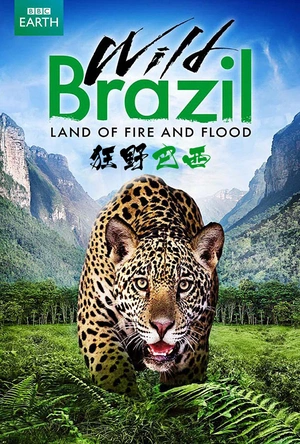 狂野巴西 Wild Brazil