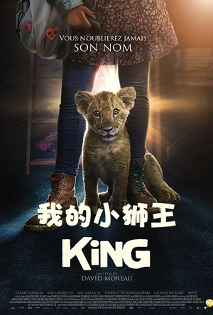 我的小狮王 King