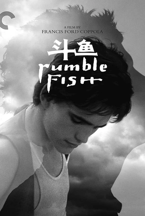 斗鱼 Rumble Fish