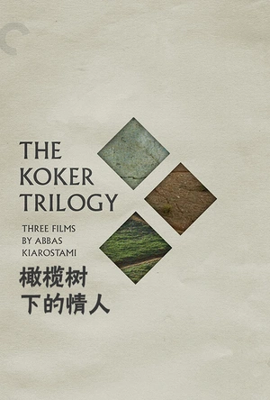 橄榄树下的情人