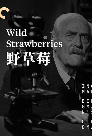 野草莓