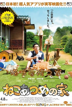 猫咪后院之家 ねこあつめの家