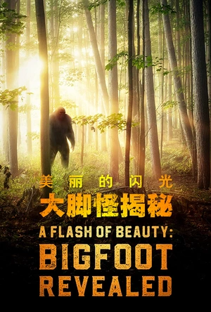 美丽的闪光：大脚怪揭秘 A Flash of Beauty: Bigfoot Revealed