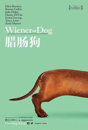 腊肠狗 Wiener-Dog