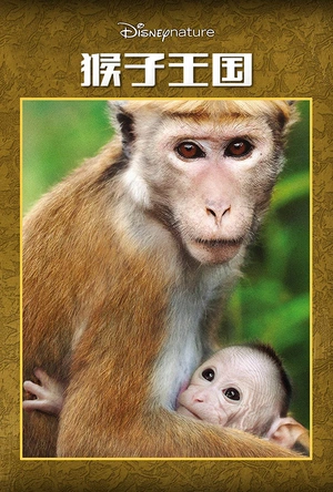 猴子王国