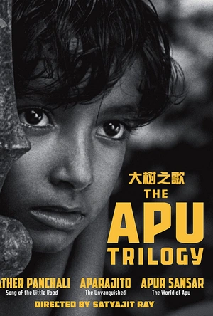 大树之歌 অপুর সংসার