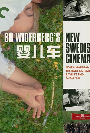 婴儿车 Barnvagnen