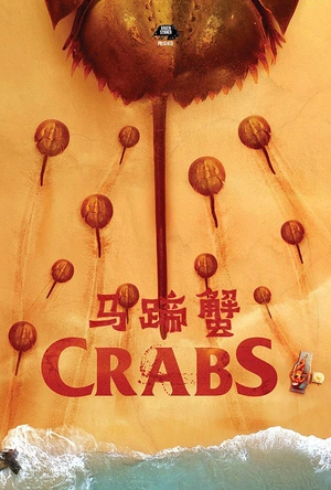 马蹄蟹 Crabs!